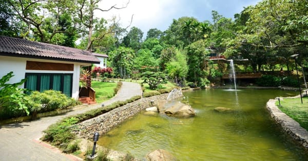 Bidaisari Resort: Riverside nature retreat in Janda Baik with a deer farm and a jacuzzi with river views