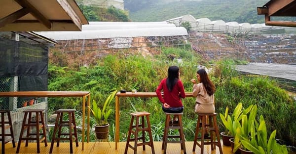 Heahtitude: Stay by the riverside in Cameron Highlands at this 90s’-inspired bed and breakfast!