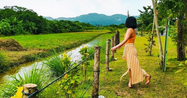 Mieda Natural Eco Cafe at Nada Natural Farming: Dine at Penang’s magical rustic farmhouse