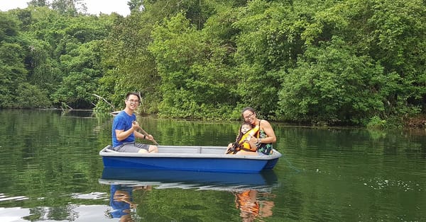 Meow Homestay: Wake up by the lake in Taiping (Perak) at this family-friendly nature retreat