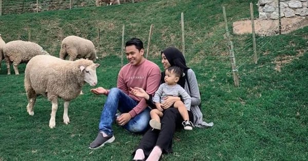 金马伦小台湾！和小绵羊共度亲子甜蜜时光 – The Sheep Sanctuary
