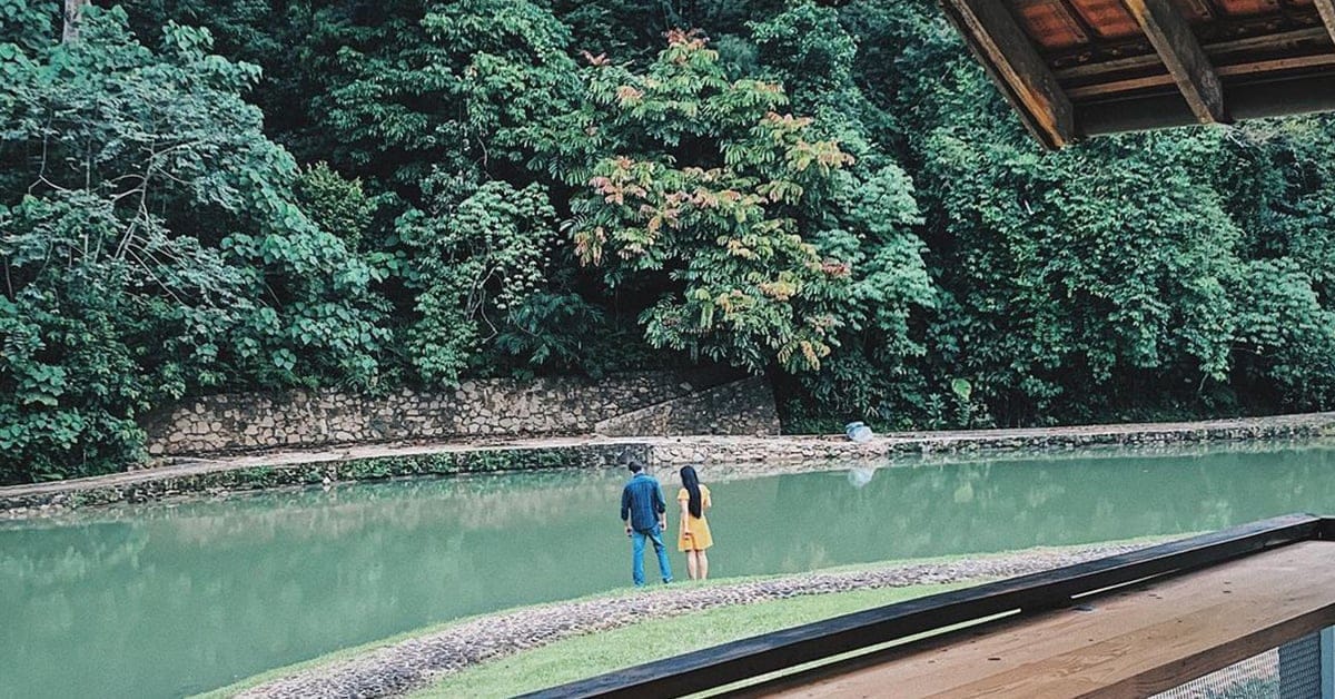 Pineyard – Secret forest cafe in Janda Baik (45 minutes from Kuala Lumpur) by the pond